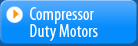 Compressor Duty Motors