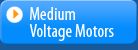Medium Voltage Motors