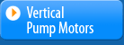 Vertical Pump Motors