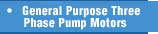 General Purpose Three Phase Pump Motors